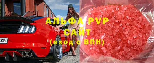 сатива Абинск
