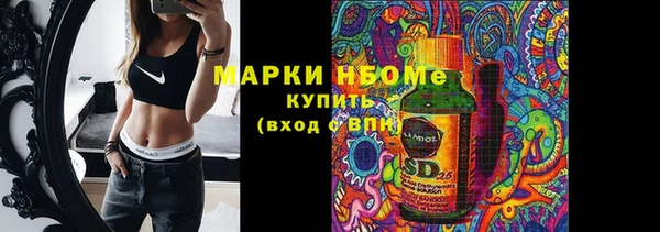 стаф Алзамай