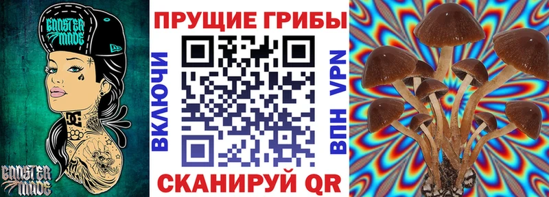 цены   Щёлково  Галлюциногенные грибы GOLDEN TEACHER 